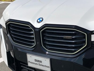 2024 BMW XM 缩略图 21