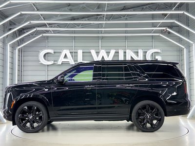 2025 Cadillac ESCALADE — миниатюра 13