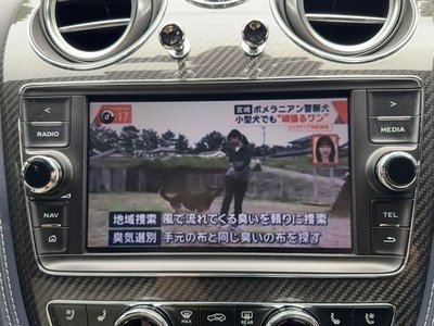 2019 Bentley BENTAYGA thumbnail 13
