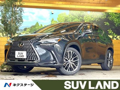 LEXUS NX - 1