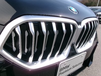 2025 BMW X6 photo 9