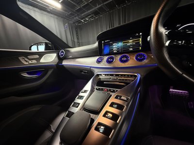 2024 Mercedes-BENZ GT AMG 缩略图 19