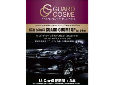 2023 Toyota ALPHARD thumbnail 43