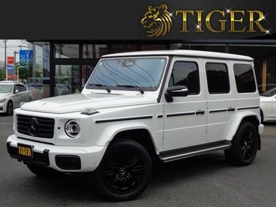 MERCEDES-BENZ G-CLASS - 1