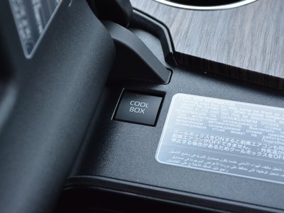 TOYOTA LAND CRUISER 300 - 5