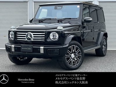 MERCEDES-BENZ G-CLASS - 1