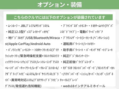 TOYOTA LAND CRUISER 250 - 2