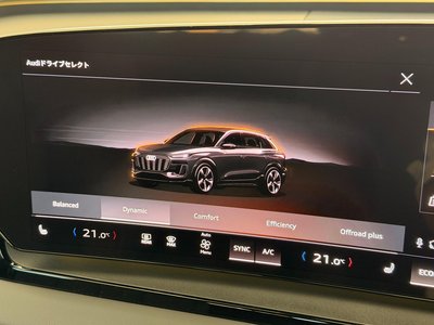 2025 AUDI Q6 E-TRON — миниатюра 50