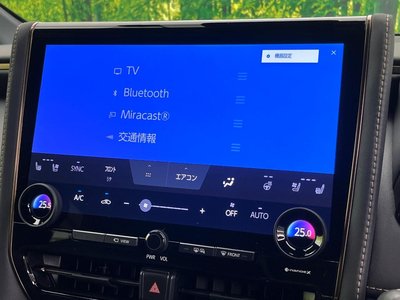 2023 TOYOTA ALPHARD thumbnail 30