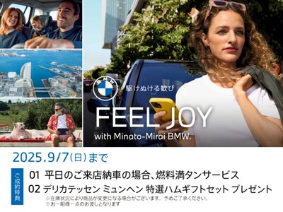 BMW 5 SERIES TOURING - 3