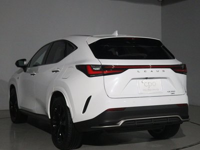LEXUS NX - 6