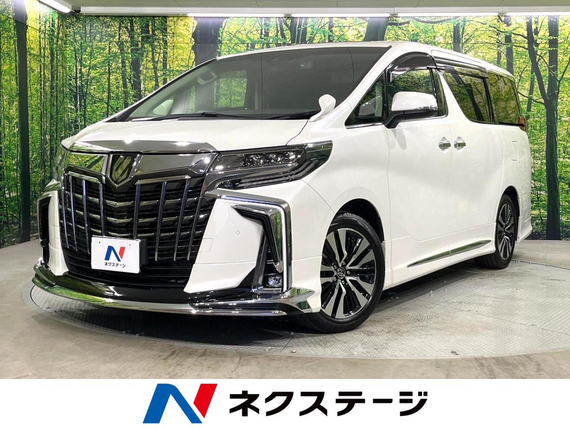 TOYOTA ALPHARD - View 1