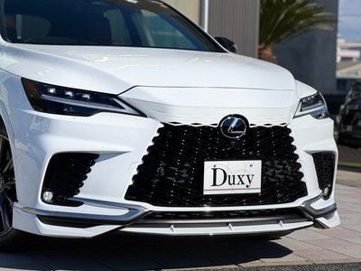 LEXUS RX - 10