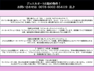 TOYOTA LAND CRUISER 300 - 2