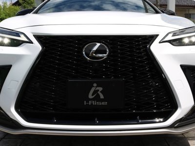 LEXUS NX - 6
