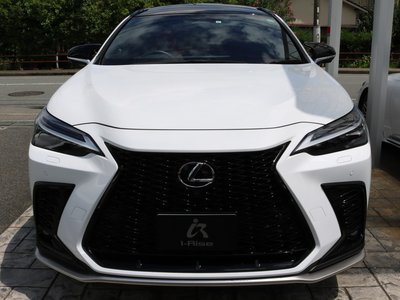 LEXUS NX - 4
