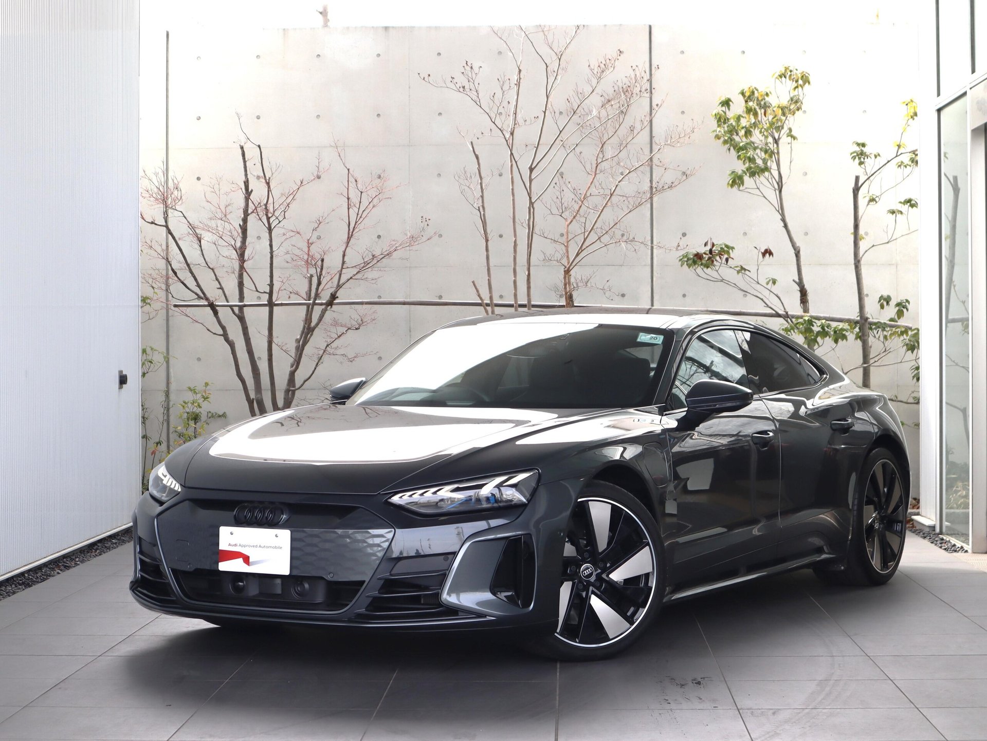 AUDI E-TRON GT QUATTRO - View 1