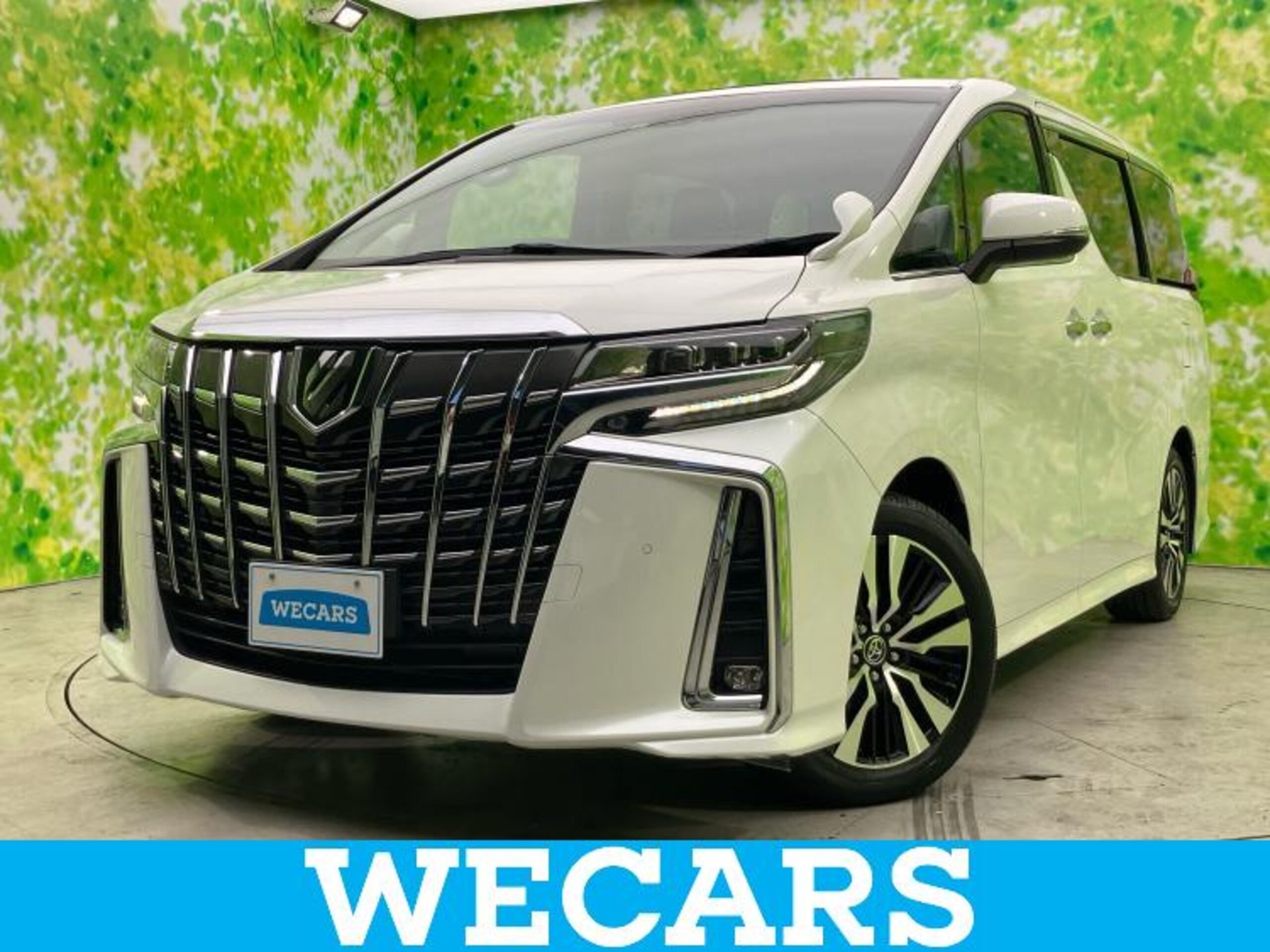 TOYOTA ALPHARD - View 1