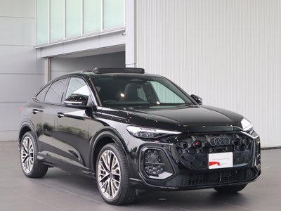 2025 AUDI SQ5 SPORTBACK 缩略图 28