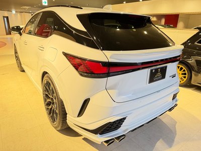 2024 Lexus RX photo 6