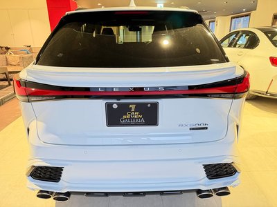2024 Lexus RX photo 7