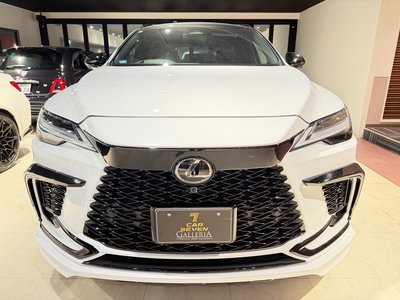 2024 Lexus RX photo 4