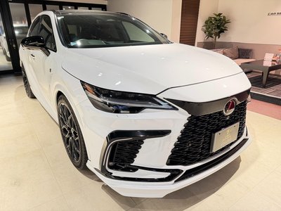 2024 Lexus RX photo 2