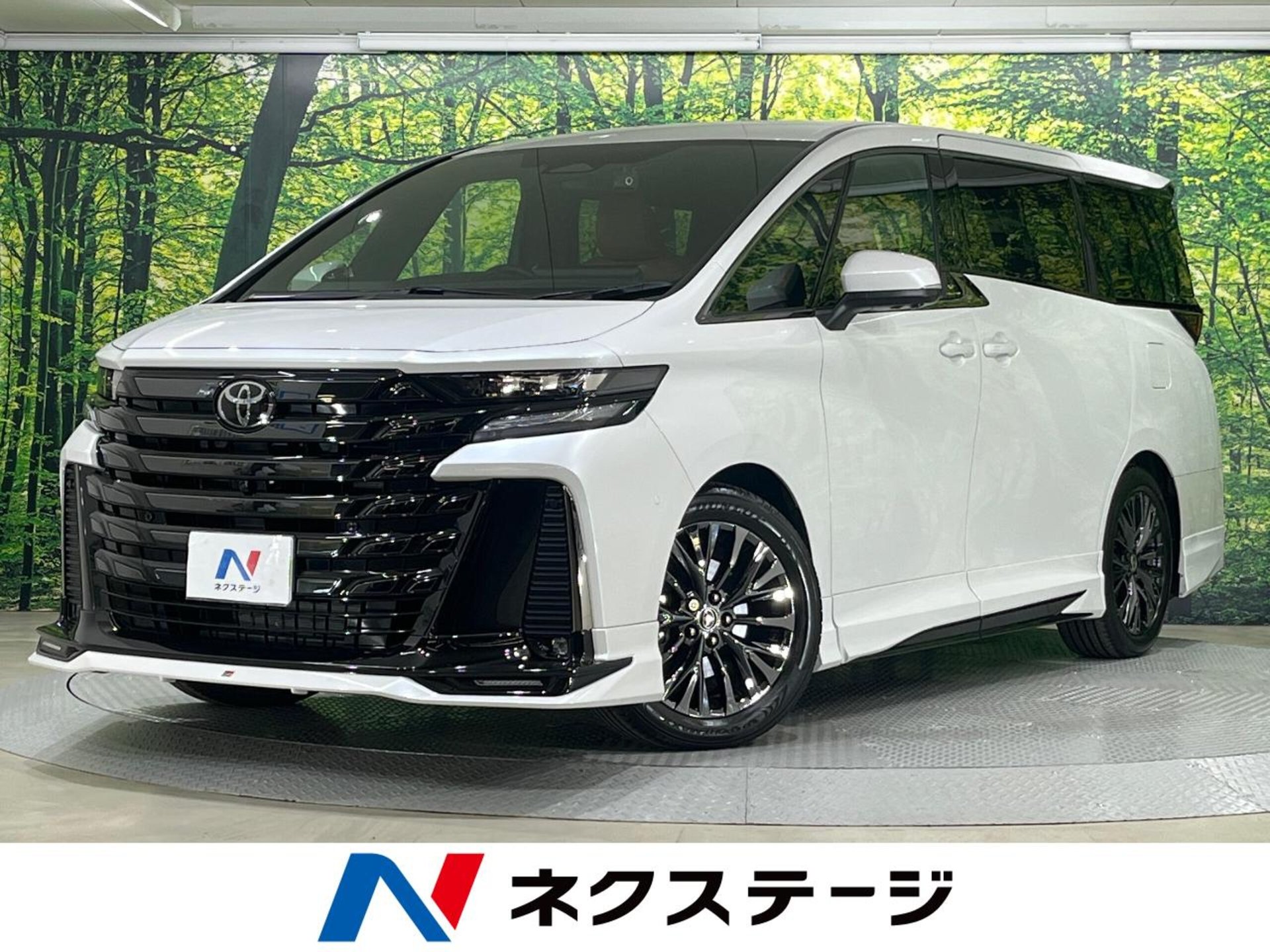 TOYOTA VELLFIRE - View 1