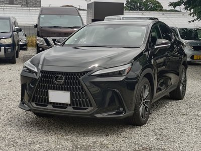 2023 Lexus NX photo 4