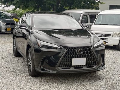 2023 Lexus NX photo 5
