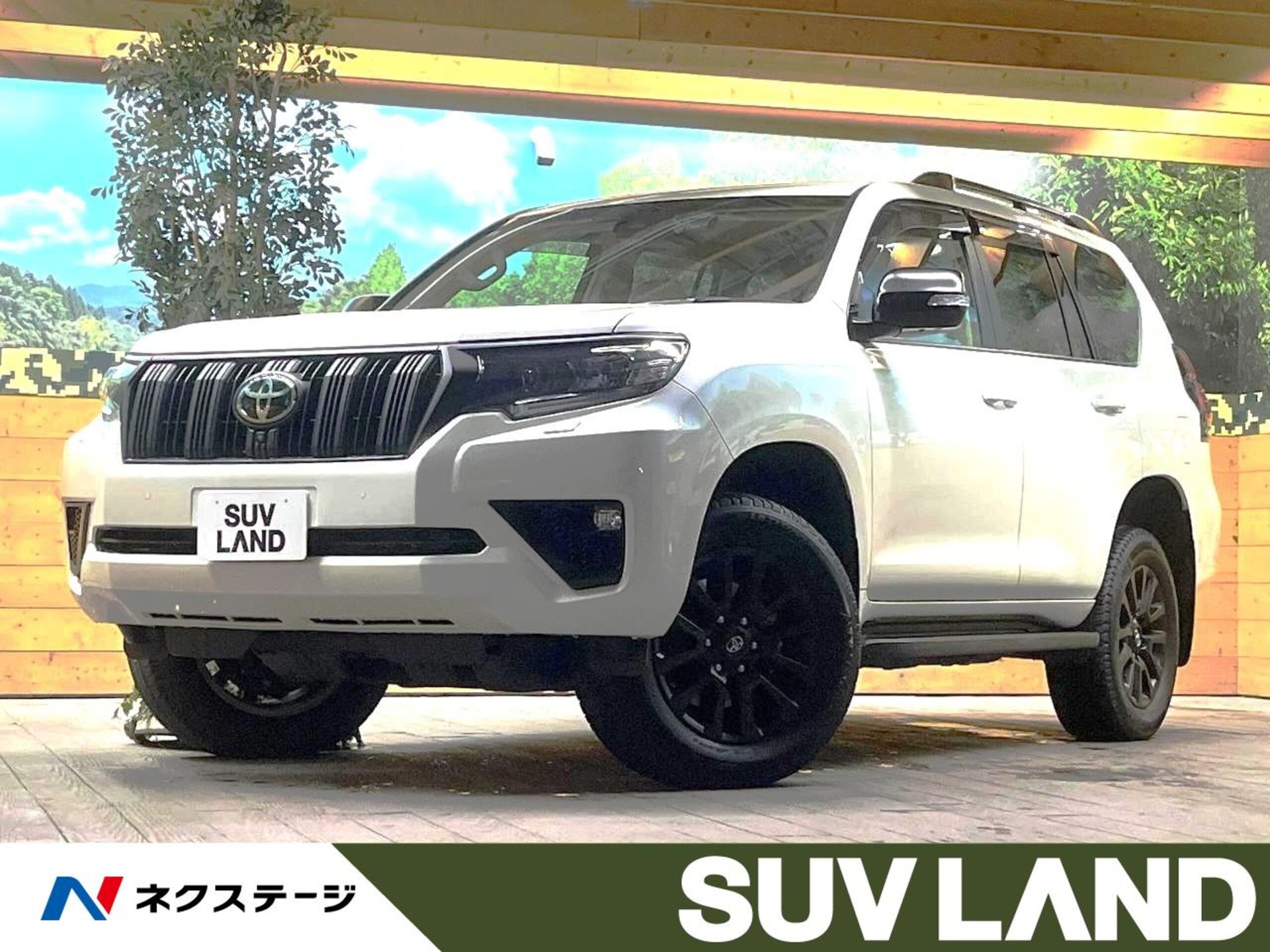 TOYOTA LAND CRUISER PRADO - View 1