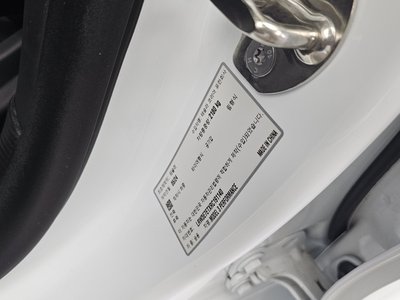 2024 Tesla MODEL 3 缩略图 29