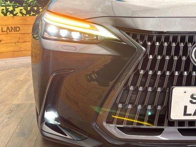 صورة مصغرة 12 لـ 2023 Lexus NX