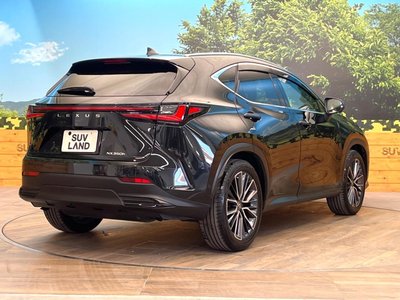 صورة مصغرة 17 لـ 2023 Lexus NX