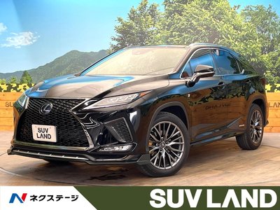 2020 Lexus RX photo 1