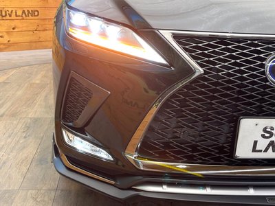 صورة مصغرة 12 لـ 2020 Lexus RX