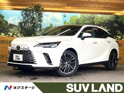 LEXUS RX - 1