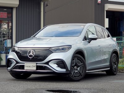 2023 Mercedes-BENZ EQE 缩略图 19