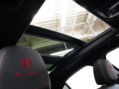 2024 ALFA Romeo STELVIO 照片 9