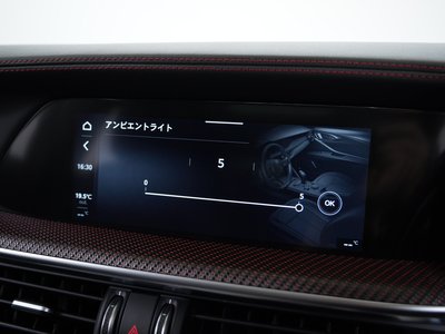 صورة مصغرة 30 لـ 2024 ALFA Romeo STELVIO