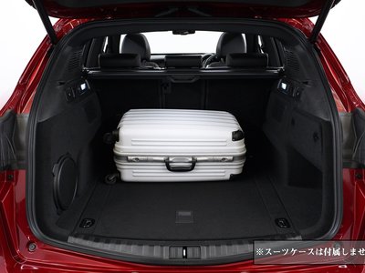 صورة مصغرة 48 لـ 2024 ALFA Romeo STELVIO