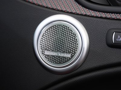 2024 ALFA Romeo STELVIO 照片 10