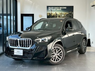 BMW X1 - 1