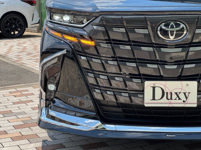 2025 Toyota ALPHARD — миниатюра 25