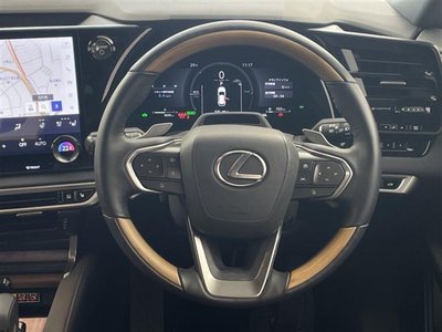 2025 Lexus RX — миниатюра 21