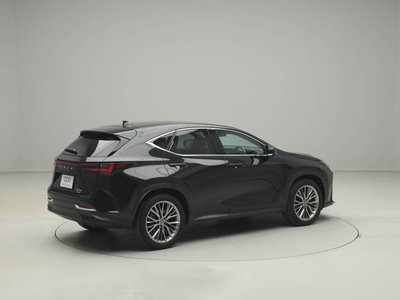 LEXUS NX - 10