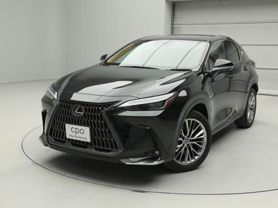 LEXUS NX - 1