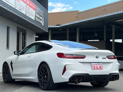 2020 BMW M8 缩略图 17