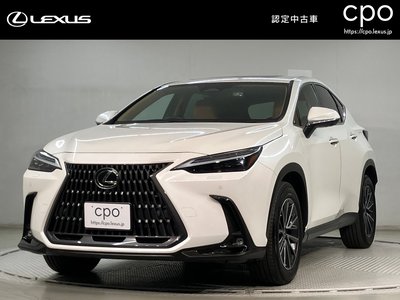 LEXUS NX - 1