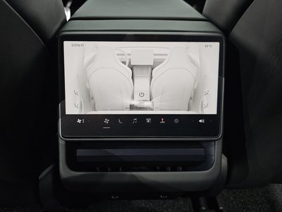 2024 Tesla MODEL 3 缩略图 29